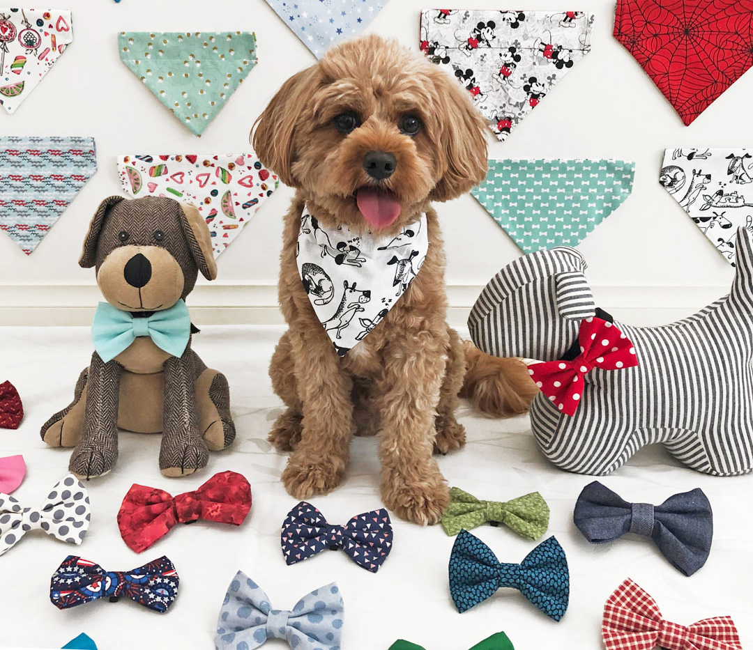 Pet Supplies Sale 5 Pet Supplies Sale -Pet Supplies Sale 1