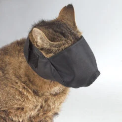 Guardian Gear Lined Cat Muzzles Large 7 Guardian Gear Lined Cat Muzzles Large -Pet Supplies Sale GG 55819 2