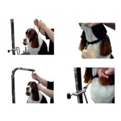 Groomers Helper 3/8" Small Dog Loop 11 Groomers Helper 3/8" Small Dog Loop -Pet Supplies Sale GH L01 4