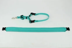 GroomTech Biothane Belly Strap Set - Teal -Pet Supplies Sale GT BS01 1