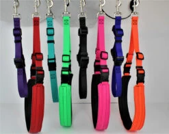 GroomTech Biothane Belly Strap Set - Teal -Pet Supplies Sale GT BS01 4