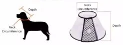 Groomtech Elizabethan Collar #8, Neck Circum 38-45cm, Depth 21cm -Pet Supplies Sale GT ECA08 4