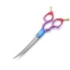Groomtech Hummingbird Asian Fusion Curved Shears 6.5" [Blue Purple Red] -Pet Supplies Sale GT HU265CY