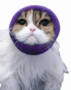 Happy Hoodie Black, X-Small -Pet Supplies Sale HH 00 BK 9