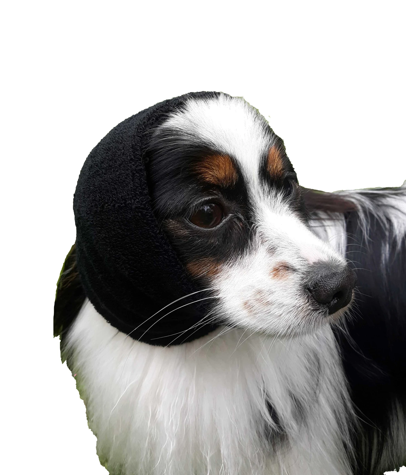 Happy Hoodie Black, X-Small