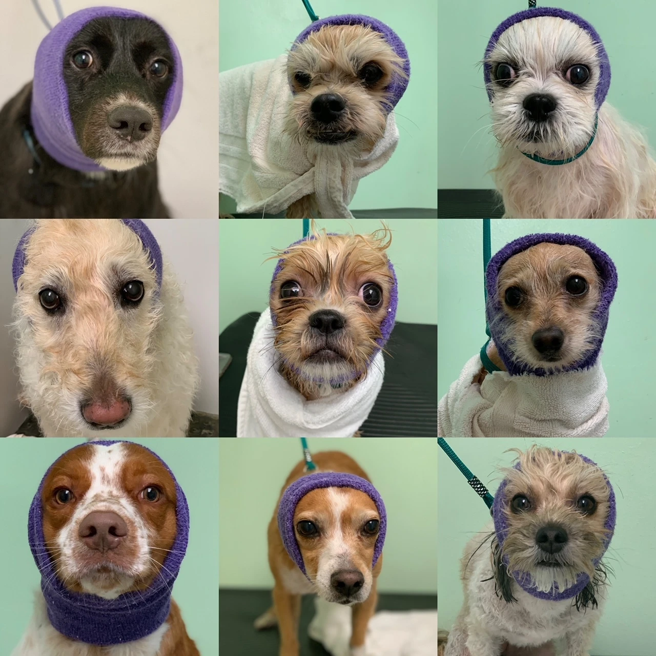 Happy Hoodie Pink, X-Small 5 Happy Hoodie Pink, X-Small - Image 3