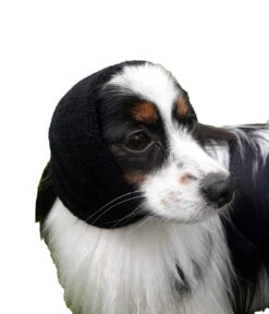 Happy Hoodie Purple, X-Small -Pet Supplies Sale HH 00 PP 3