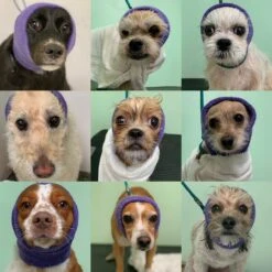 Happy Hoodie Pink, Pack Of 2 -Pet Supplies Sale HH 01 PK 2