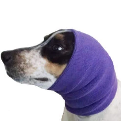 Happy Hoodie Purple, Pack Of 2 -Pet Supplies Sale HH 01 PP 4