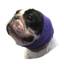 Happy Hoodie Purple, Pack Of 2 -Pet Supplies Sale HH 01 PP 5