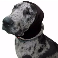 Happy Hoodie Black, X-Large