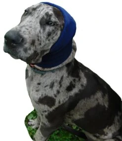 Happy Hoodie Blue, X-Large -Pet Supplies Sale HH 02 BU 3