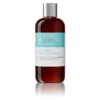 IGroom All In One Shampoo + Conditioner 16oz (473ml) -Pet Supplies Sale IG 00840