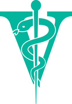 Joyzze Hornet Mini Trimmer 2 Speed [Purple] -Pet Supplies Sale JY 99028 8