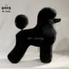 Mr. Jiang Poodle Lamb Clip Full Body Coat / Model Dog [Black] -Pet Supplies Sale MJ PC02K