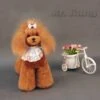 Mr. Jiang Teddy Bear Full Body Coat / Model Dog [Brown] -Pet Supplies Sale MJ TB02B