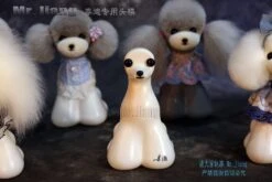 Mr. Jiang Teddy Bear Head Mannequin / Model Dog -Pet Supplies Sale MJ TB03 4