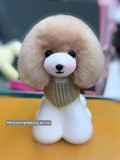Mr. Jiang Teddy Bear Head Hair / Model Dog [Champagne] -Pet Supplies Sale MJ TB04C 2
