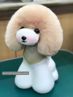 Mr. Jiang Teddy Bear Head Hair / Model Dog [Champagne] -Pet Supplies Sale MJ TB04C 3
