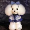 Mr. Jiang Teddy Bear Head Hair / Model Dog [White] -Pet Supplies Sale MJ TB04W