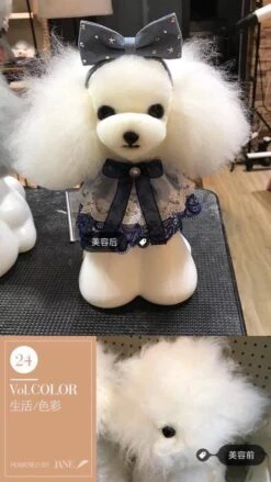Mr. Jiang Teddy Bear Head Hair / Model Dog [White] -Pet Supplies Sale MJ TB04W 4