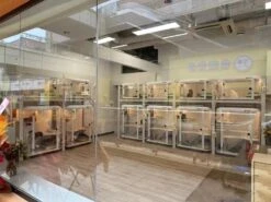 Smart Dog Cabin M01 Pro 21 Smart Dog Cabin M01 Pro -Pet Supplies Sale PI M01Pro