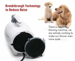 Shernbao Paige Grooming Dryer 1800W [White] -Pet Supplies Sale S PBD 701HW 2