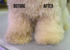 Show Tech Dry Shampoo 100g -Pet Supplies Sale ST 90021 3