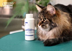 Show Tech Dry Shampoo 100g -Pet Supplies Sale ST 90021 4