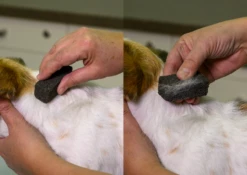 Show Tech Stripping Stone 9x6x2.5cm -Pet Supplies Sale ST 90070 2