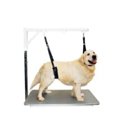 Show Tech Comfort Belly Strap For Small Dog