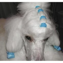 Show Tech Latex Bands Neon 1000pcs -Pet Supplies Sale ST 90998 2