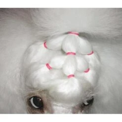 Show Tech Latex Bands Neon 1000pcs -Pet Supplies Sale ST 90998 3