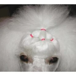 Show Tech Latex Bands Neon 1000pcs -Pet Supplies Sale ST 90998 4