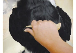 Show Tech Ultra Pro Set Of 4 Stripping Knife -Pet Supplies Sale ST 93581 6