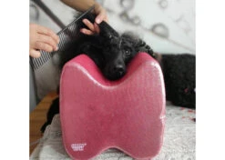 Show Tech Topknot Cushion Pillow Glitzy Red - Large -Pet Supplies Sale ST 94913 2