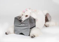 Show Tech Topknot Cushion Pillow Glitzy Black - Large -Pet Supplies Sale ST 94919 3