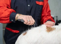 Show Tech Comfy Stripping Stick 13mm Double Sided -Pet Supplies Sale ST 95086 2