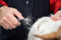 Show Tech Comfy Stripping Stick 13mm Double Sided -Pet Supplies Sale ST 95086 3