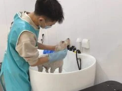 Aeolus Acrylic Bathing Tub With Faucet And Sprayer Kit - Free Booster -Pet Supplies Sale T BTF1200DB 3