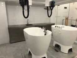 Aeolus Acrylic Bathing Tub With Faucet And Sprayer Kit - Free Booster -Pet Supplies Sale T BTF1200DB 5