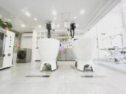 Aeolus Acrylic Bathing Tub With Faucet And Sprayer Kit - Free Booster -Pet Supplies Sale T BTF1200DB 6