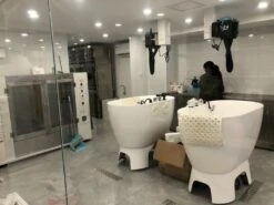 Aeolus Acrylic Bathing Tub With Faucet And Sprayer Kit - Free Booster -Pet Supplies Sale T BTF1200DB 7