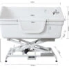 Aeolus Fiberglass Electric Lifting Bath Tub Jumbo BTF180