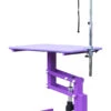 Aeolus Classic Z Shape Electric Lifting Table - Medium [Purple] -Pet Supplies Sale T FT802E PP