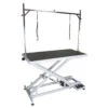 Aeolus Low-Low Electric Lifting Table 1 Aeolus Low-Low Electric Lifting Table -Pet Supplies Sale T FT808