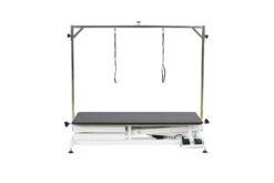 Aeolus Low-Low Electric Lifting Table Eco Version -Pet Supplies Sale T FT808 ECO 2