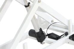 Aeolus Low-Low Electric Lifting Table Eco Version -Pet Supplies Sale T FT808 ECO 4