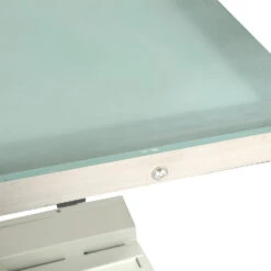 Aeolus Electric Lifting Table With LED Light -Pet Supplies Sale T FT829 2