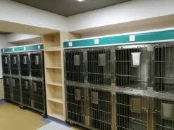 Aeolus KA509T Stainless Steel Modular Cage (2019 Model) [Design 4] -Pet Supplies Sale T KA509TD4 7